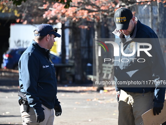 A 21-year-old man is fatally stabbed at Steuben Park in Brooklyn, New York, United States, on November 12, 2024. At approximately 8:45 a.m....