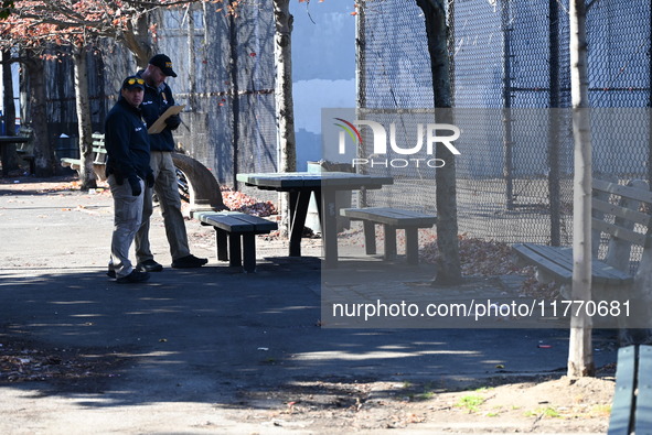 A 21-year-old man is fatally stabbed at Steuben Park in Brooklyn, New York, United States, on November 12, 2024. At approximately 8:45 a.m....