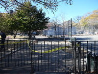 A 21-year-old man is fatally stabbed at Steuben Park in Brooklyn, New York, United States, on November 12, 2024. At approximately 8:45 a.m....