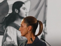 Claudia Sheinbaum Pardo, Mexico's president, speaks during a briefing about the national security plan at the National Palace in Mexico City...