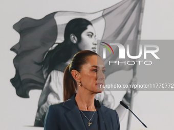 Claudia Sheinbaum Pardo, Mexico's president, speaks during a briefing about the national security plan at the National Palace in Mexico City...