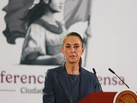 Claudia Sheinbaum Pardo, Mexico's president, speaks during a briefing about the national security plan at the National Palace in Mexico City...