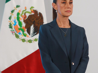 Claudia Sheinbaum Pardo, Mexico's president, speaks during a briefing about the national security plan at the National Palace in Mexico City...