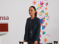 Claudia Sheinbaum Pardo, Mexico's president, speaks during a briefing about the national security plan at the National Palace in Mexico City...