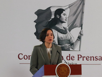 Marcela Figueroa Franco, head of the National Executive Secretariat for Public Security, reports trends in crime rates during a briefing at...