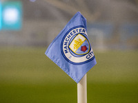 A Manchester City corner flag is present during the UEFA Champions League Group D match between Manchester City and Hammarby at the Joie Sta...