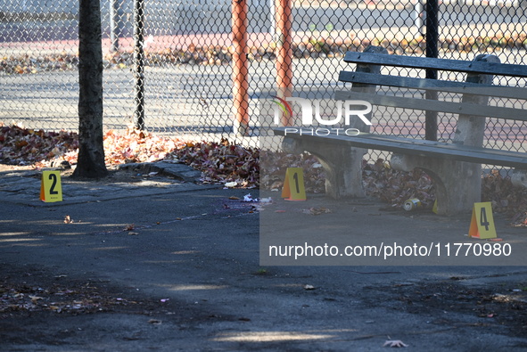 Evidence markers indicate where blood and other evidence is found after a 21-year-old man is fatally stabbed at Steuben Park in Brooklyn, Ne...