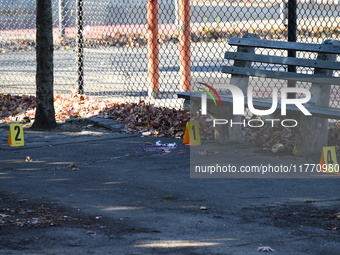 Evidence markers indicate where blood and other evidence is found after a 21-year-old man is fatally stabbed at Steuben Park in Brooklyn, Ne...