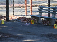 Evidence markers indicate where blood and other evidence is found after a 21-year-old man is fatally stabbed at Steuben Park in Brooklyn, Ne...