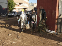 Scenes of devastation in the streets of Benetusser after the passing of the flood, army, firefighters, police and volunteers help to normali...