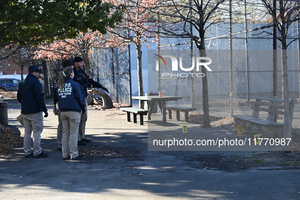 Evidence markers indicate where blood and other evidence is found after a 21-year-old man is fatally stabbed at Steuben Park in Brooklyn, Ne...