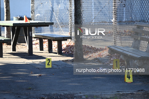 Evidence markers indicate where blood and other evidence is found after a 21-year-old man is fatally stabbed at Steuben Park in Brooklyn, Ne...