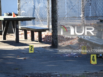 Evidence markers indicate where blood and other evidence is found after a 21-year-old man is fatally stabbed at Steuben Park in Brooklyn, Ne...