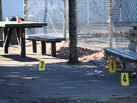 Evidence markers indicate where blood and other evidence is found after a 21-year-old man is fatally stabbed at Steuben Park in Brooklyn, Ne...