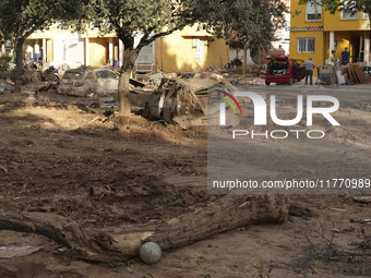 Scenes of devastation in the streets of Benetusser after the passing of the flood, army, firefighters, police and volunteers help to normali...