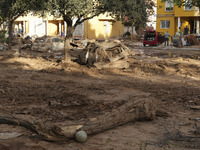 Scenes of devastation in the streets of Benetusser after the passing of the flood, army, firefighters, police and volunteers help to normali...