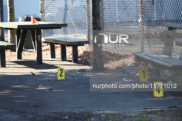 Evidence markers indicate where blood and other evidence is found after a 21-year-old man is fatally stabbed at Steuben Park in Brooklyn, Ne...