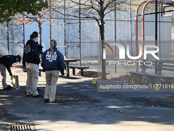 Evidence markers indicate where blood and other evidence is found after a 21-year-old man is fatally stabbed at Steuben Park in Brooklyn, Ne...