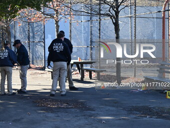 Evidence markers indicate where blood and other evidence is found after a 21-year-old man is fatally stabbed at Steuben Park in Brooklyn, Ne...