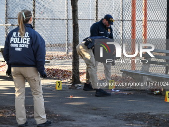 Evidence markers indicate where blood and other evidence is found after a 21-year-old man is fatally stabbed at Steuben Park in Brooklyn, Ne...