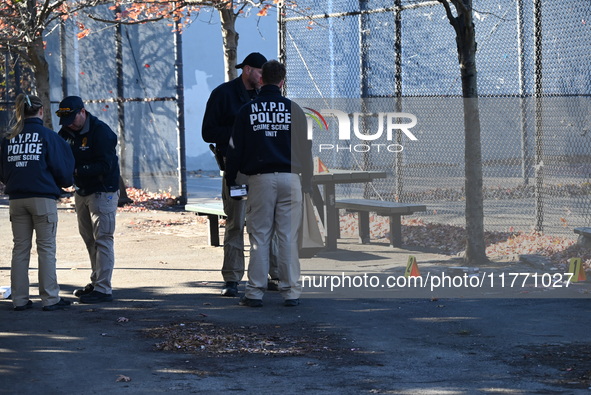 Evidence markers indicate where blood and other evidence is found after a 21-year-old man is fatally stabbed at Steuben Park in Brooklyn, Ne...