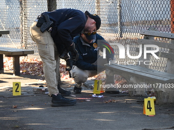 Evidence markers indicate where blood and other evidence is found after a 21-year-old man is fatally stabbed at Steuben Park in Brooklyn, Ne...