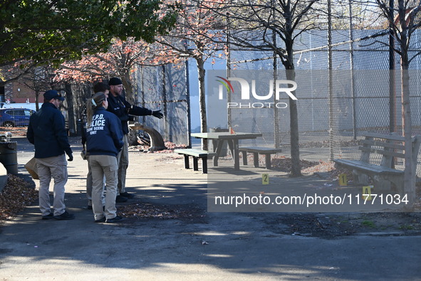 Evidence markers indicate where blood and other evidence is found after a 21-year-old man is fatally stabbed at Steuben Park in Brooklyn, Ne...