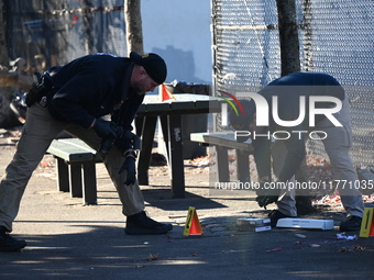 Evidence markers indicate where blood and other evidence is found after a 21-year-old man is fatally stabbed at Steuben Park in Brooklyn, Ne...