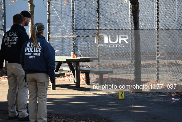 Evidence markers indicate where blood and other evidence is found after a 21-year-old man is fatally stabbed at Steuben Park in Brooklyn, Ne...