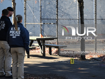 Evidence markers indicate where blood and other evidence is found after a 21-year-old man is fatally stabbed at Steuben Park in Brooklyn, Ne...