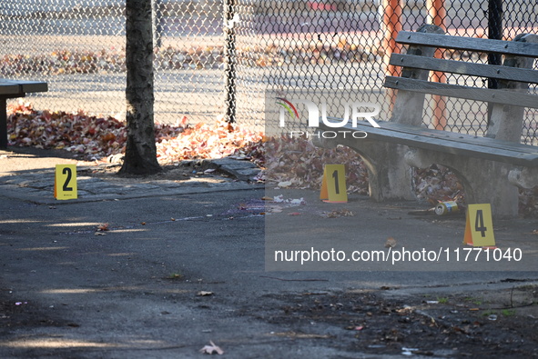 Evidence markers indicate where blood and other evidence is found after a 21-year-old man is fatally stabbed at Steuben Park in Brooklyn, Ne...