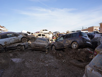 Scenes of devastation in the streets of Benetusser after the passing of the flood, army, firefighters, police and volunteers help to normali...