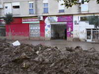 Scenes of devastation in the streets of Benetusser after the passing of the flood, army, firefighters, police and volunteers help to normali...