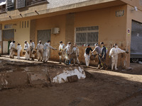 Scenes of devastation in the streets of Benetusser after the passing of the flood, army, firefighters, police and volunteers help to normali...