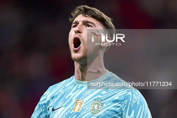 Franco Israel of Sporting CP celebrates after Conrad Harder (not in frame) scores their side's fourth goal during the Liga Portugal Betclic...