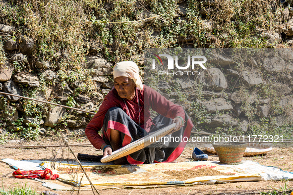 A farmer dries crops on the sunshade in the village of Makwanpur, Nepal, on November 12, 2024. 