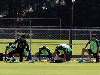 Players of the Mexican national soccer team perform warm-up exercises during a training session before their Concacaf Nations League match a...