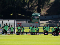 Players of the Mexican national soccer team perform warm-up exercises during a training session before their Concacaf Nations League match a...