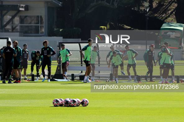 Players of the Mexican national soccer team perform warm-up exercises during a training session before their Concacaf Nations League match a...