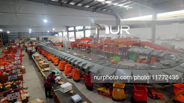 Workers of a courier company sort packages on a smart express line in Enshi, Hubei province, China, on November 13, 2024. 