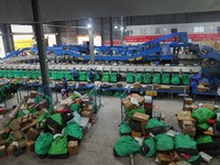 Workers of a courier company sort packages on a smart express line in Enshi, Hubei province, China, on November 13, 2024. (