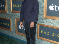 Daryl McCormack attends the Apple TV+ ''Bad Sisters'' Season 2 premiere at Metrograph in New York, New York, USA, on November 12, 2024. (