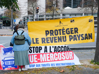 Peasants from the Confederation Paysanne set up in front of the Ministry of Economy in Paris, France, to denounce the EU-Mercosur agreement....