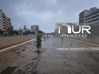 Heavy rainfall leads to significant flooding in various parts of Malaga, including major streets and public areas. (