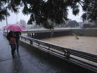 Heavy rainfall leads to significant flooding in various parts of Malaga, including major streets and public areas. (