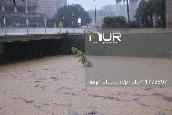 Heavy rainfall leads to significant flooding in various parts of Malaga, including major streets and public areas. 