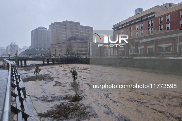 Heavy rainfall leads to significant flooding in various parts of Malaga, including major streets and public areas. 