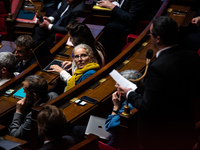 Delphine Batho, deputy of the Ecologists and Socialists, is at the National Assembly in Paris, France, on November 13, 2024. (