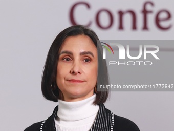 Luz Elena Gonzalez Escobar, Secretary of Energy, speaks during a briefing conference about the rescue of Mexican Petroleum (PEMEX) at the Na...