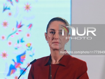 Claudia Sheinbaum Pardo, President of Mexico, speaks during a briefing conference about the rescue of Mexican Petroleum (PEMEX) at the Natio...